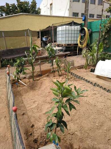 Imagen del huerto urbano de Las Remudas (Foto TA)